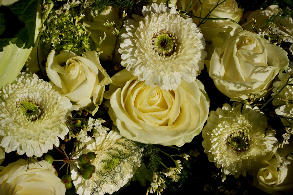 Close-up of a floral arrangement featuring cream and white roses, with some fully bloomed and others in bud form, complemented by white gerbera daisies with dark centers and delicate small white fille