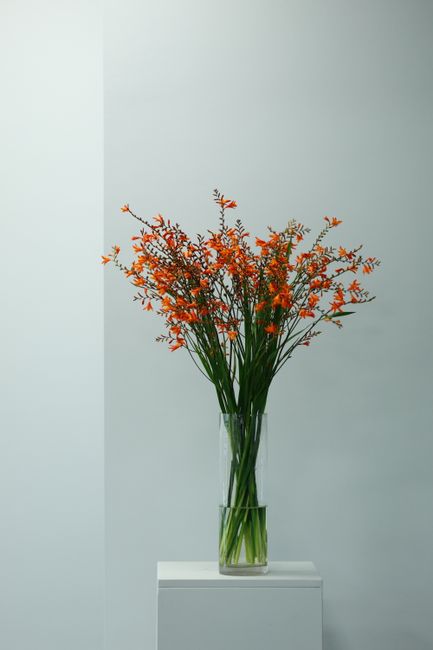 A tall, elegant glass vase filled with a fresh floral arrangement of orange and yellow glittering lilies, arranged with long, green stems and delicate foliage. The bouquet is placed on a white pedesta